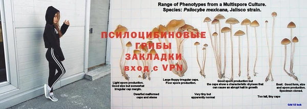стафф Бронницы