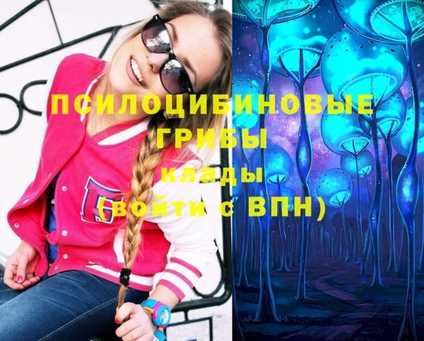 ПСИЛОЦИБИНОВЫЕ ГРИБЫ Бородино