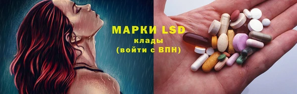 стафф Бронницы