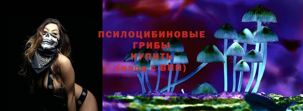 стафф Бронницы