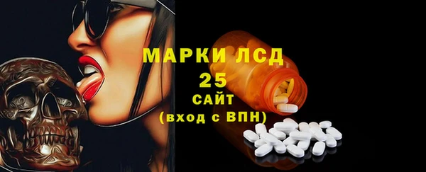 ПСИЛОЦИБИНОВЫЕ ГРИБЫ Бородино