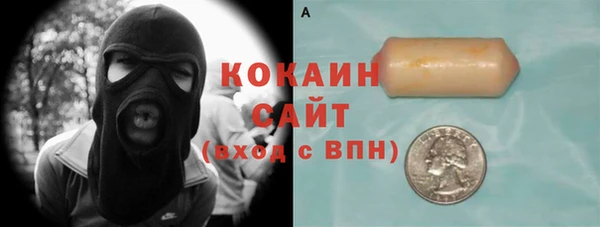 ПСИЛОЦИБИНОВЫЕ ГРИБЫ Бородино