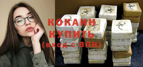 ПСИЛОЦИБИНОВЫЕ ГРИБЫ Бородино