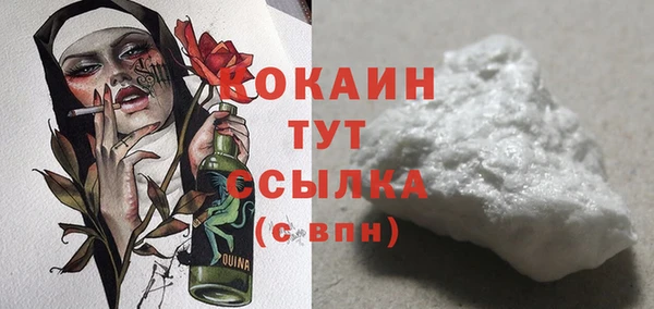 ПСИЛОЦИБИНОВЫЕ ГРИБЫ Бородино