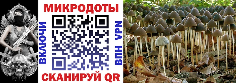 Купить Куса Галлюциногенные грибы GOLDEN TEACHER