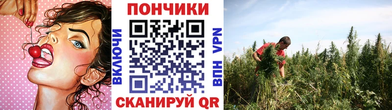 Купить закладки  Куса  Канабис Ganja 